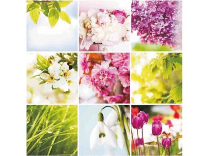 fac7186ee2b7922c01bd843573abfbf1.image.550x550