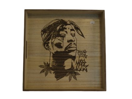 3968 dreveny tacek tupac amaru shakur