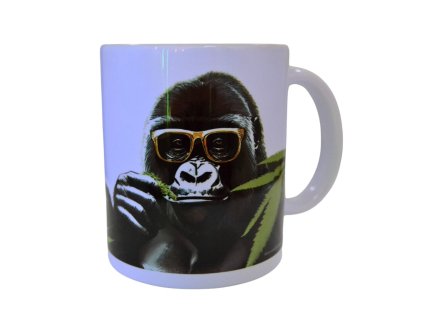 Návrh bez názvu (11)