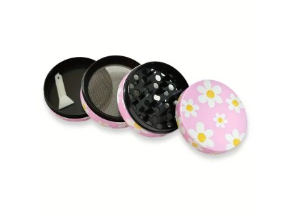 drtička střední Daisy