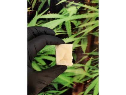 Piatella White Runtz | THC-X > 30%