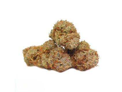 pink Zushi strain