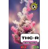 THC R CARTRIDGE (1)