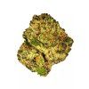 papaya (1)