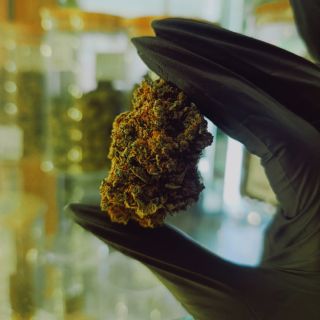 🔥 HYPE VERZE 💥 NOVINKA JE TU – OZK právě přistálo! 💥 Novej král mezi květy je venku. Jméno? OZK. Vůně, struktura, vibe –...