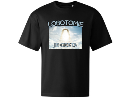 Lobotomy je cesta (1024 x 768 px)