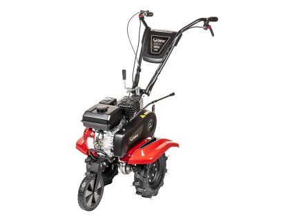 CEDRUSGL05 01