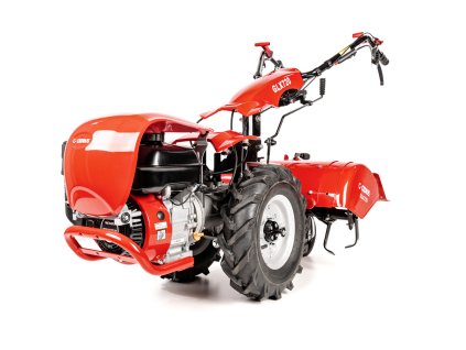 CEDRUSGL11 01