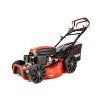 CEDKS53S 2025 01