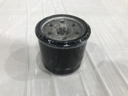 Olejový filter pregenerátory Hahn & Sohn HDE 14000, HGG 22000E3A