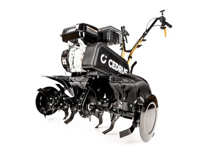 CEDRUSGL01 01