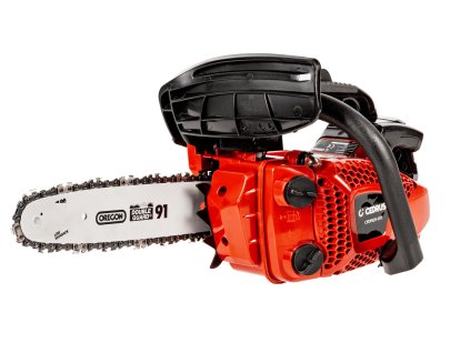 CEDPS25 10T 01