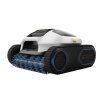 spinoe1 001