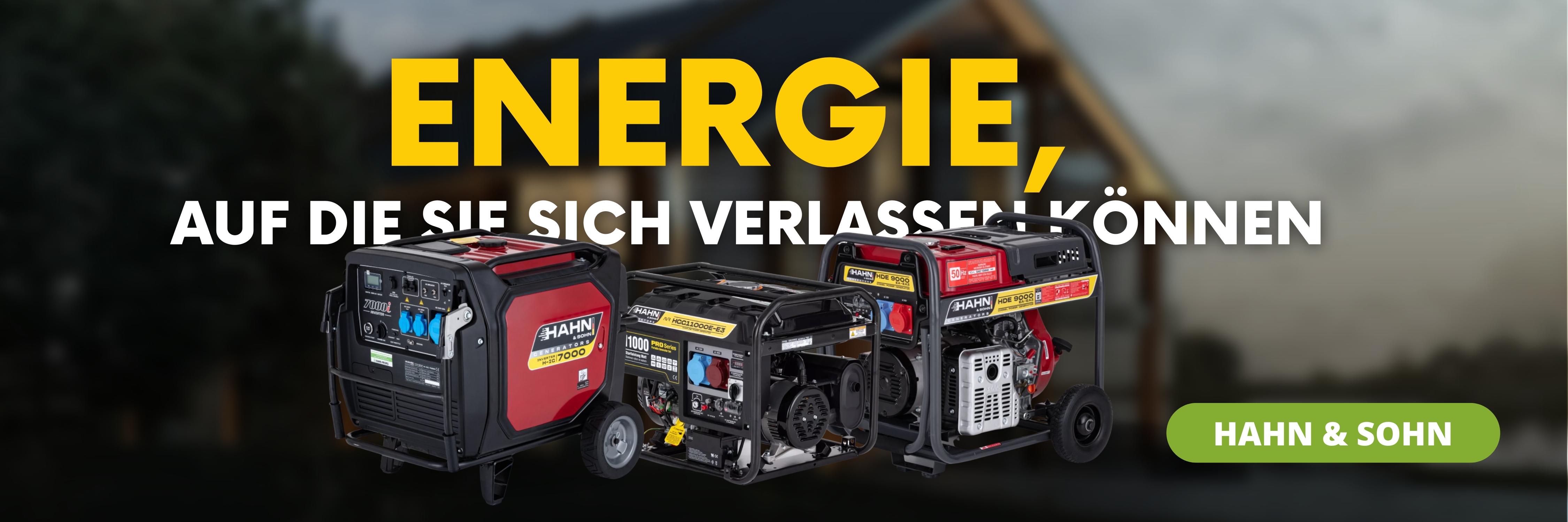 Hahn & Sohn Generator