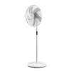 TROTEC - Design-Standventilator mit Fernbedienung TVE 24 S | 80° Oszillation | 48 W