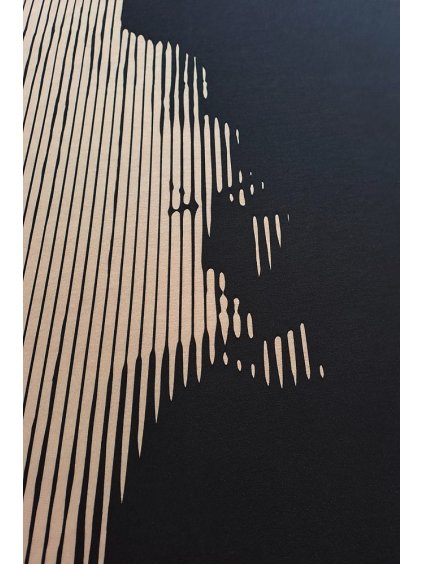 Viskóza tisk  - tvář, panel 57x76