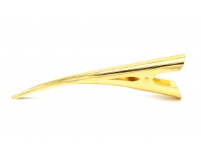 Spona - pineta ve zlaté barvě