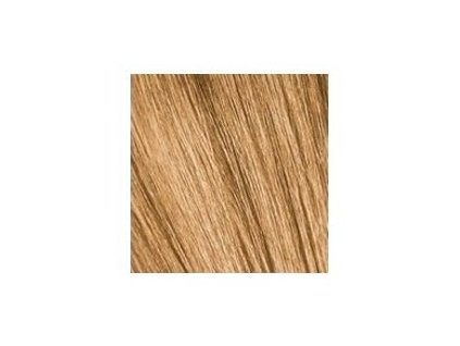 SCHWARZKOPF Igora Royal Absolutes 60ml - svetlá blond prírodná zlatá 8-50