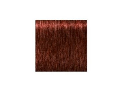 SCHWARZKOPF Igora Royal Absolutes 60ml - tmavá blond prírodná červená 6-80