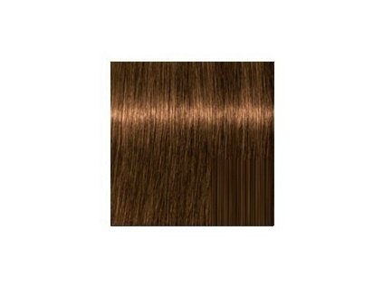 SCHWARZKOPF Igora Royal Absolutes 60ml - tmavá blond prírodná zlatá 6-50