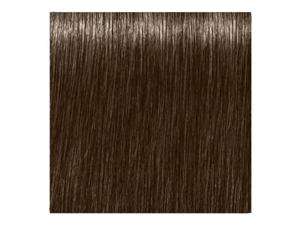 SCHWARZKOPF Igora Royal farba na vlasy 60ml - tmavá blond popolavo čokoládová 6-16