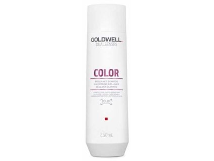 GOLDWELL Dualsenses Color Shampoo 250ml - šampón pre farbené a tónované vlasy
