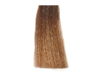 BES Hi-Fi Hair Color Krémová farba na vlasy - Tmavá blond popolavá 6-1