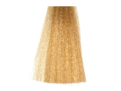 BES Hi-Fi Hair Color Krémová farba na vlasy - Svetlejšia zlato béžová 9-38