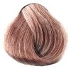 BES Hi-Fi Hair Color Profi farba na vlasy - Svetlejší blond Violet Ash 9-21