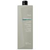 BHEYSÉ Professional Purifying Shampoo 1000ml - šampón proti lupinám