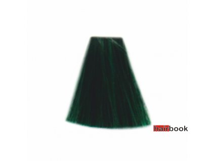 Glossco farba 09 zelená - 100 ml