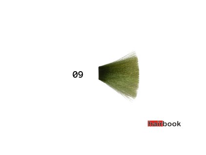 Glossco Pure Gloss Toners 09 - 60 ml