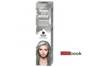 Venita Trendy Color Mousse - Silver Dust 11 - 75 ml