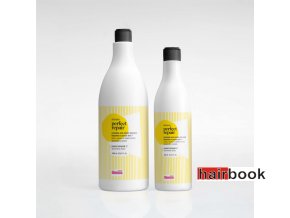 perfect repair shampoo glossco 01 1536x1536
