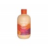 Sampon Ochrana Barvy Inebrya Color 300 ml 1