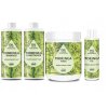 moringa