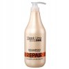 STAPIZ SLEEK LINE SZAMPON Z JEDWABIEM 1000ml