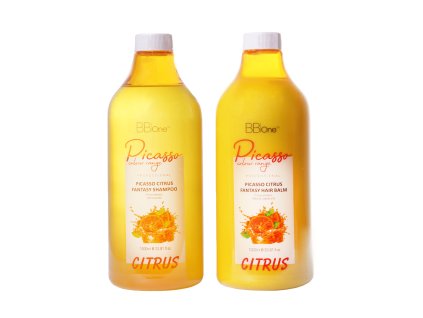 BB One Picasso Citrus Fantasy Hair Balm 1000ml