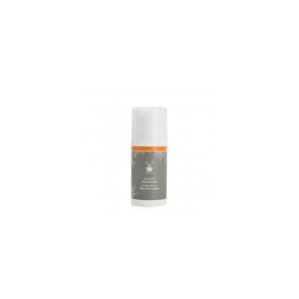 Balzám po holení Mühle – Rakytník 100 ml
