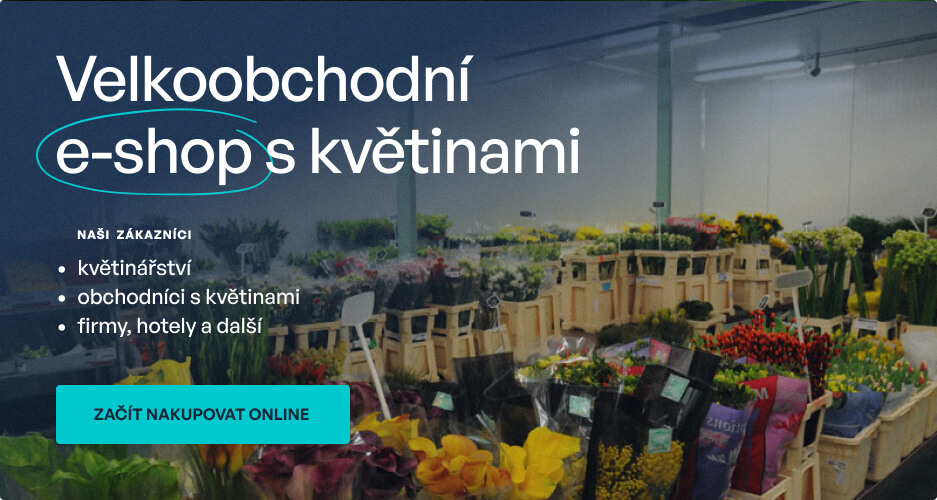 Velkoobchodní e-shop s květinami