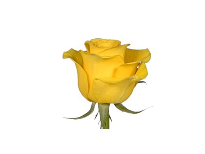 Brighton 0059 Layer 7