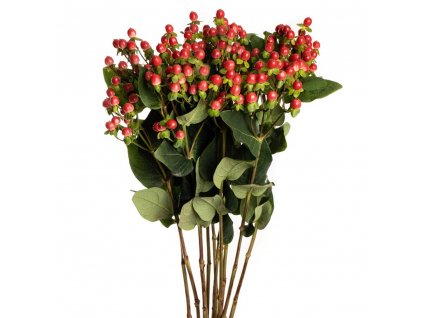 1935 esmeralda hypericum red