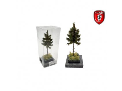 Forest spruce 12-16cm - Summer