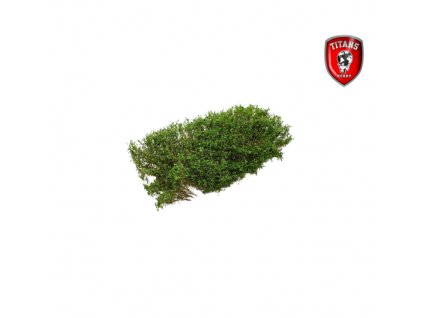 Shrubbery cm.15x15 Lenght 15mm - Spring Green