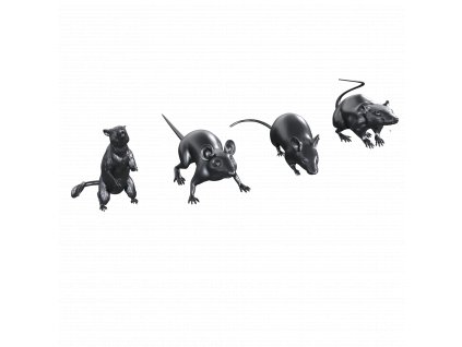 1/35 Rats / Ratten