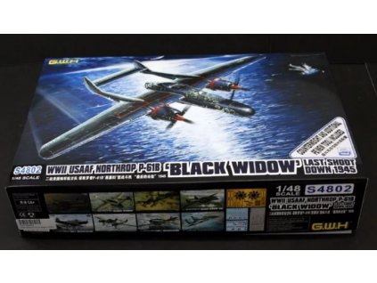 S4802 Northrop P 61B Black Widow Last Shoot Down 1945