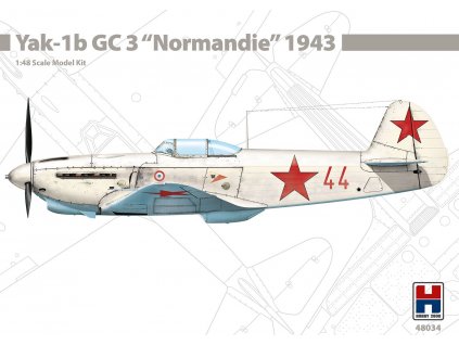 H2K48034 Yak 1b