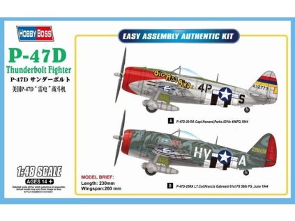 1/48 P-47D Thunderbolt Fighter