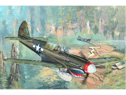 02212 Curtiss P 40N