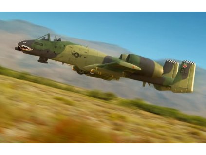 1/48 A-10A Thunderboldt II